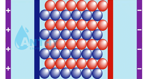 Bề mặt của các hạt nhựa tạo thành một đường dẫn điện trong modul EDI