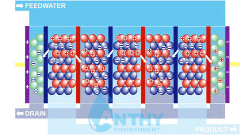 Quy trình hoạt động của mô đun EDI