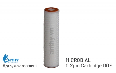 DOE END CAP FILTER MICROBIAL