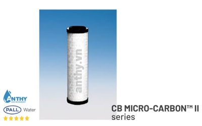 C20P-CB5 CARBON FILTER CARTRIDGES