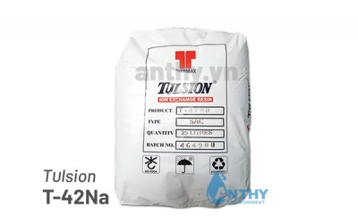 Cation tulsion T-42 Na
