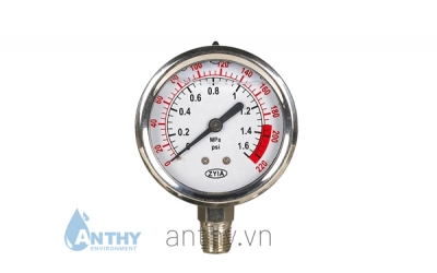 Bottom pressure gauges