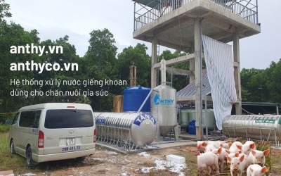 Water filter for breeding